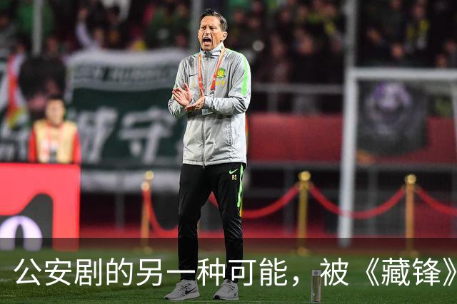 公安剧的另一种可能，被《藏锋》拍出来了