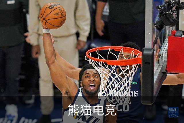 熊猫电竞公司简介