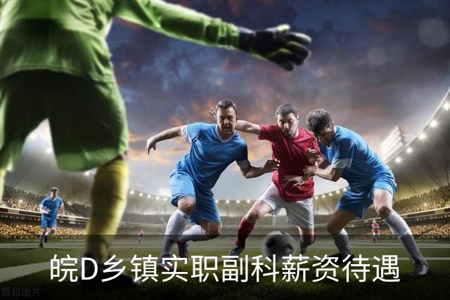 皖D乡镇实职副科薪资待遇