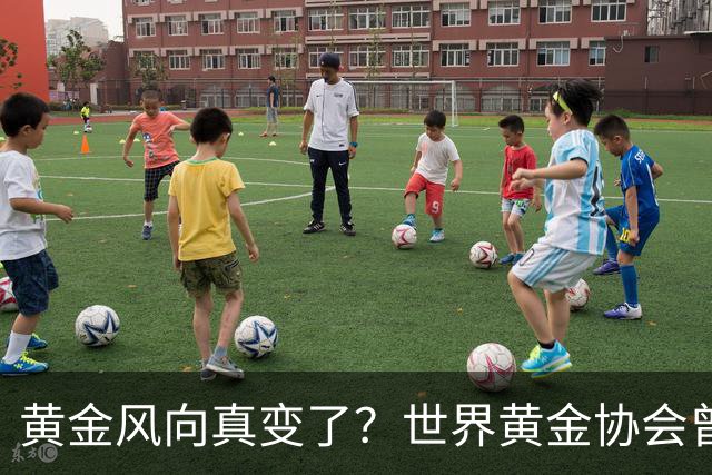 黄金风向真变了？世界黄金协会曾提醒：今年下半年，或将迎关键期